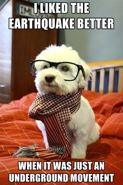 hipster-dog-quake